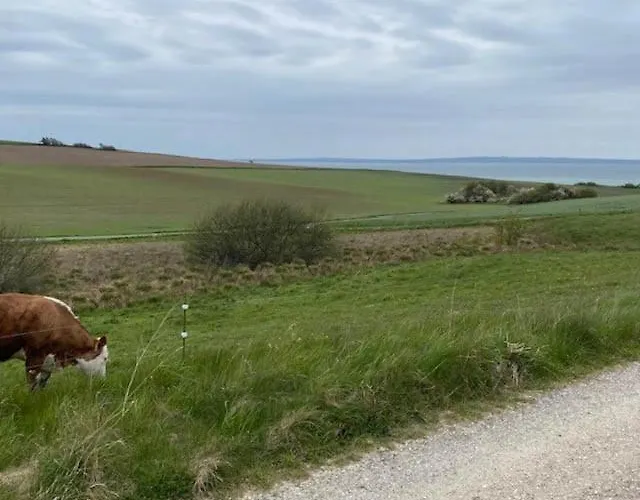 Ferienhaus Summer House With Panoramic Views Of Aarhus Bay Knebel